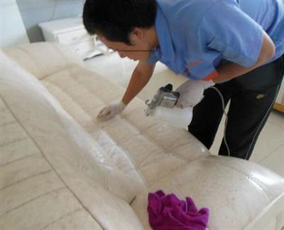 【大連翼家家政/大連開荒保潔 /西崗區(qū)開荒保潔哪家好】不限,價格,廠家,圖片,供應商,保潔,大連翼家家政服務 - 熱賣促銷 - 阿土伯交易網(wǎng)